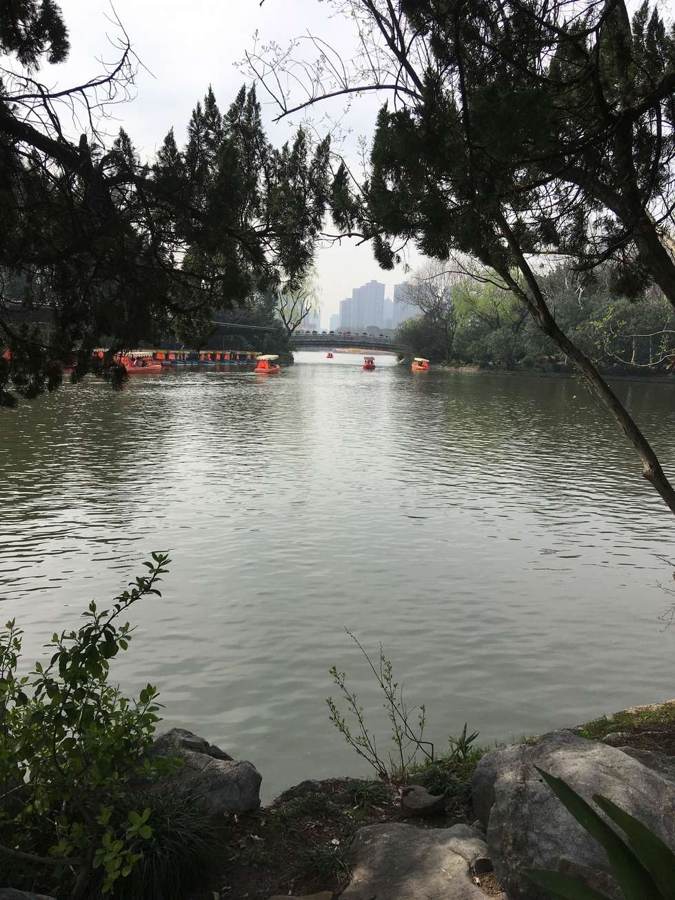 Large lake with bridge and buildings in background